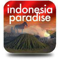 Indonesia Paradise